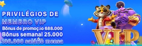 Entrar 516W